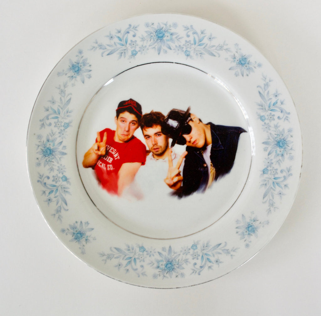 Beastie Boys Faux Commemorative Plate ~ Funny upcycled gift for Sister –  TacoExplosions